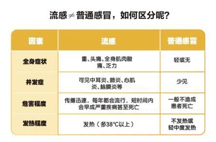 流感吃什么药效果最好？科学选药指南与注意事项