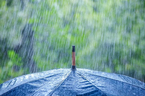 浠水天气，在雨与晴之间，读懂一座小城的温柔