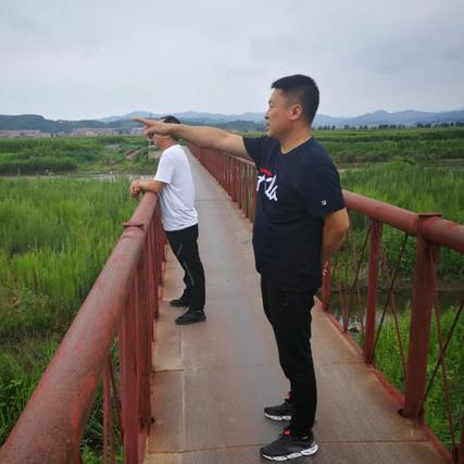 辽宁多地遭遇强降雨，最新雨情与防汛动态