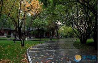 泸州2024年11月天气，秋意渐浓，暖阳伴微寒