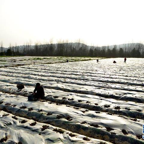娄底十五日天气观察，换季节奏与生活指南