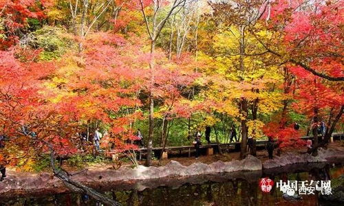 贵州11月天气探秘，寒意渐起，秋意正浓