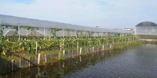 余干天气，四季流转间的鄱湖风情
