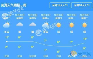 芜湖15天天气预报，提前掌握，从容规划每一天