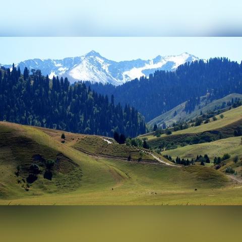 新疆旅游攻略，穿越天山南北，邂逅极致风光与异域风情