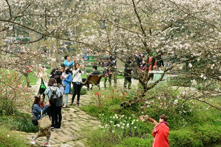 3月20日杭州天气，春分日里的一场温柔倒春寒