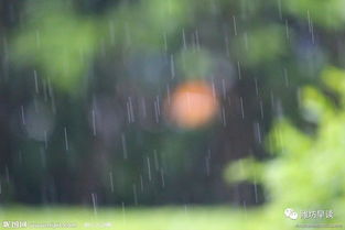 潍坊，盐碱地上长出的风筝哲学
