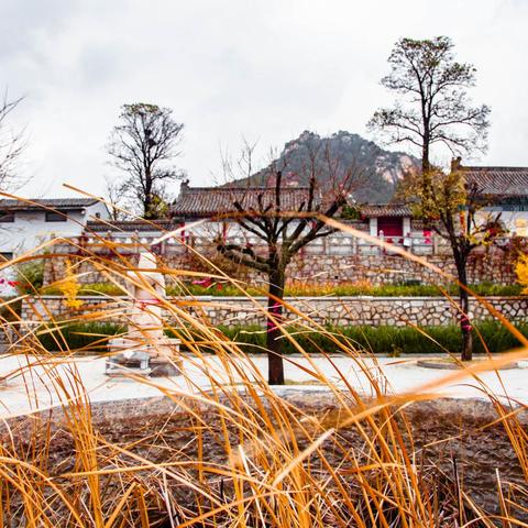 酷暑难耐？国内十大避暑胜地排名，清凉一夏首选这些地方