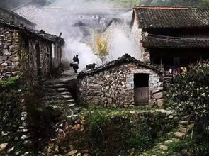 临清四季，一座北方小城的天气物语