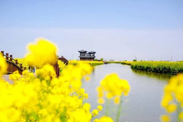 兴化天气，水乡四季的温柔与脾气