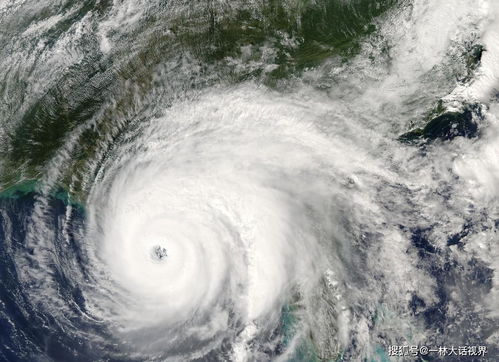 台风论坛，云端之上的风迷精神家园