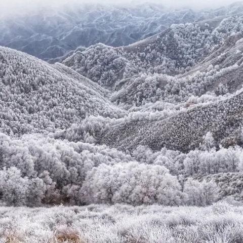 平山天气预报，一场与自然对话的日常仪式