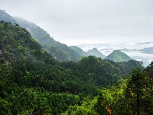 雨中岳西，山色空蒙亦奇