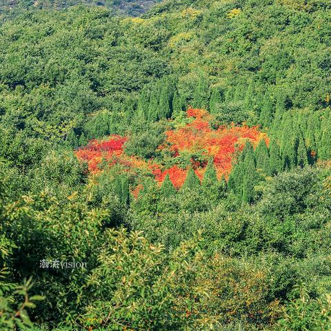 二十四节气里的林州山川呼吸，一场天气与自然的交响