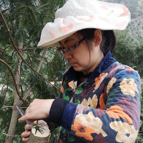 东阳天气预报15天查询百度,掌握未来天气,从容规划每一天 东阳天气预报15天查询百度,掌握未来天气,从容规划每一天