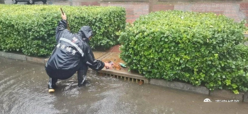 鱼台发布暴雨橙色预警，全力应对强降雨天气，确保群众生命财产安全