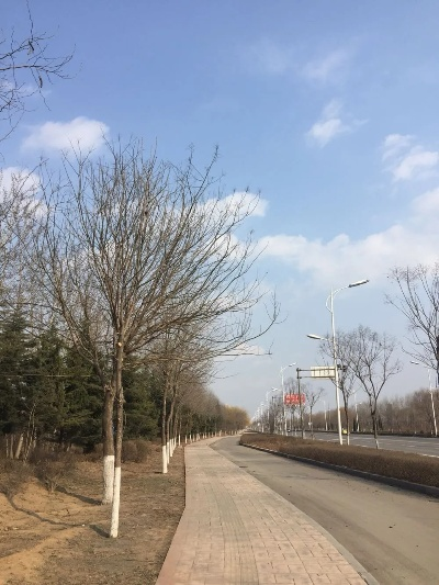 济阳天气预报，小城天气里的生活哲学